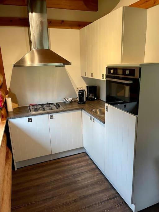 Unieke Houten Villa Met Sauna In Twente - 6P Den Ham Extérieur photo