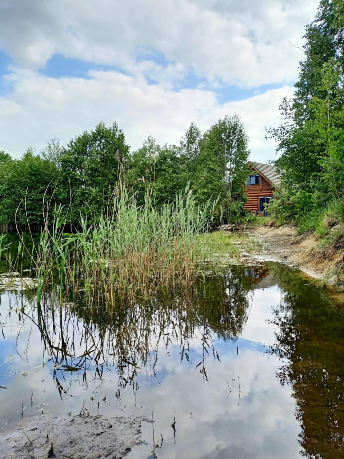 Unieke Houten Villa Met Sauna In Twente - 6P Den Ham Extérieur photo